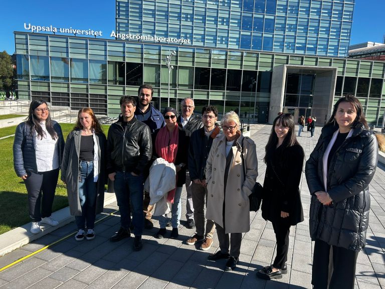 M18 Phoenix-OoC Project Meeting Held in Uppsala