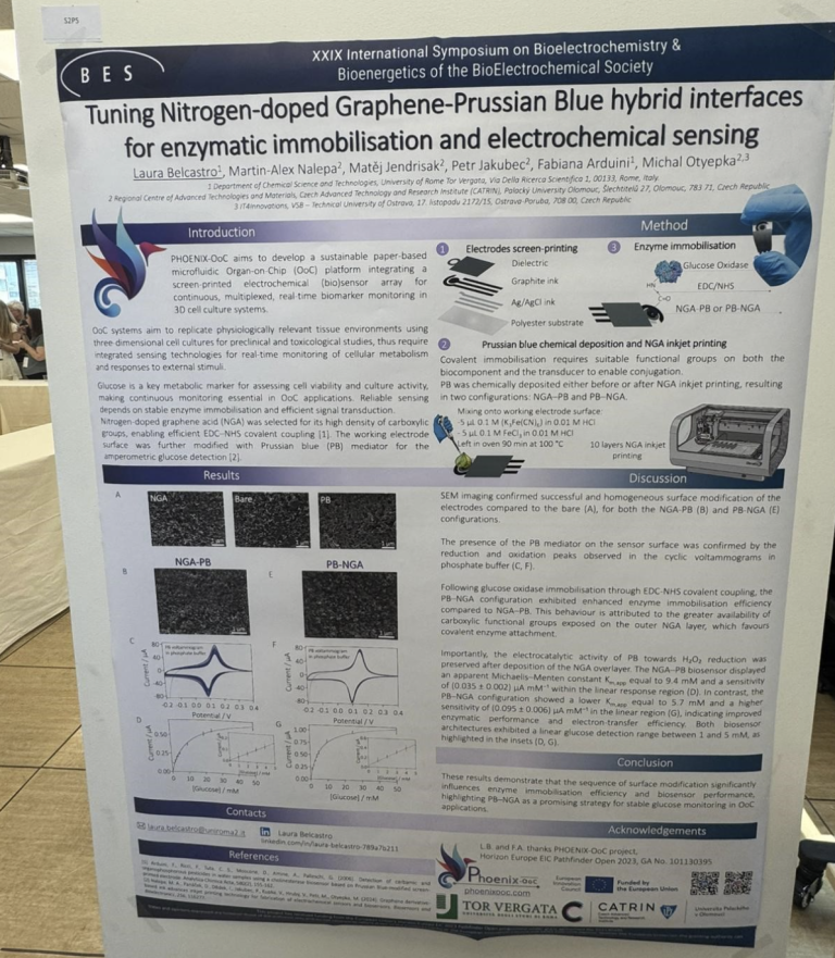 BES 2026 Symposium in Bari
